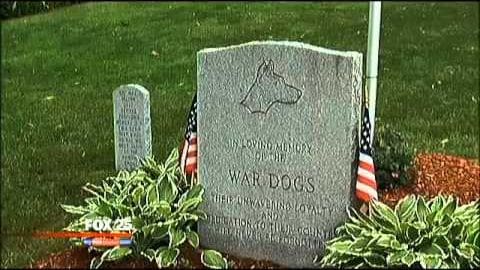 A memorial for war dogs in an outdoor cemetery with inscriptions on a gravestone surrounded by small American flags and greenery, indicating spring or summer daylight conditions.