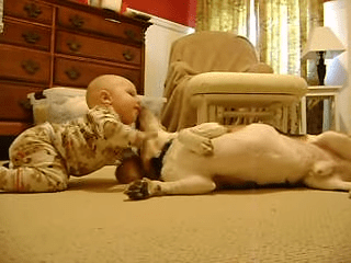 An infant wearing a patterned onesie interacts with an adult Golden Retriever in a cozy indoor setting, surrounded by home furniture and natural light.