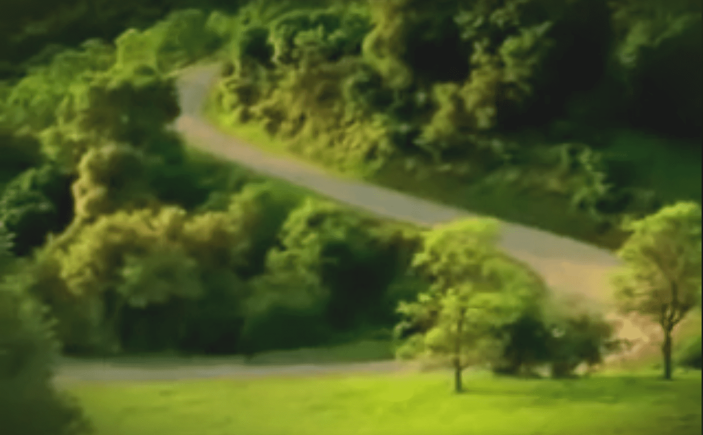 A rural or park setting with a winding road surrounded by lush greenery under natural daylight in spring or summer.