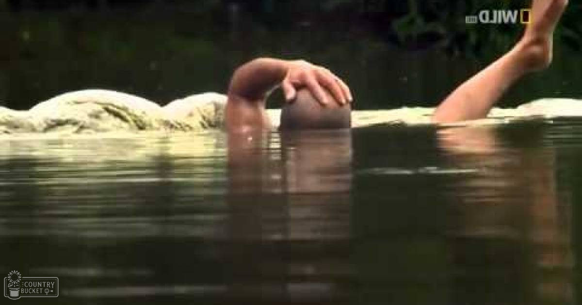 An adult male wearing dark-colored swim trunks swimming outdoors with calm reflective water and natural surroundings under a daytime sky.