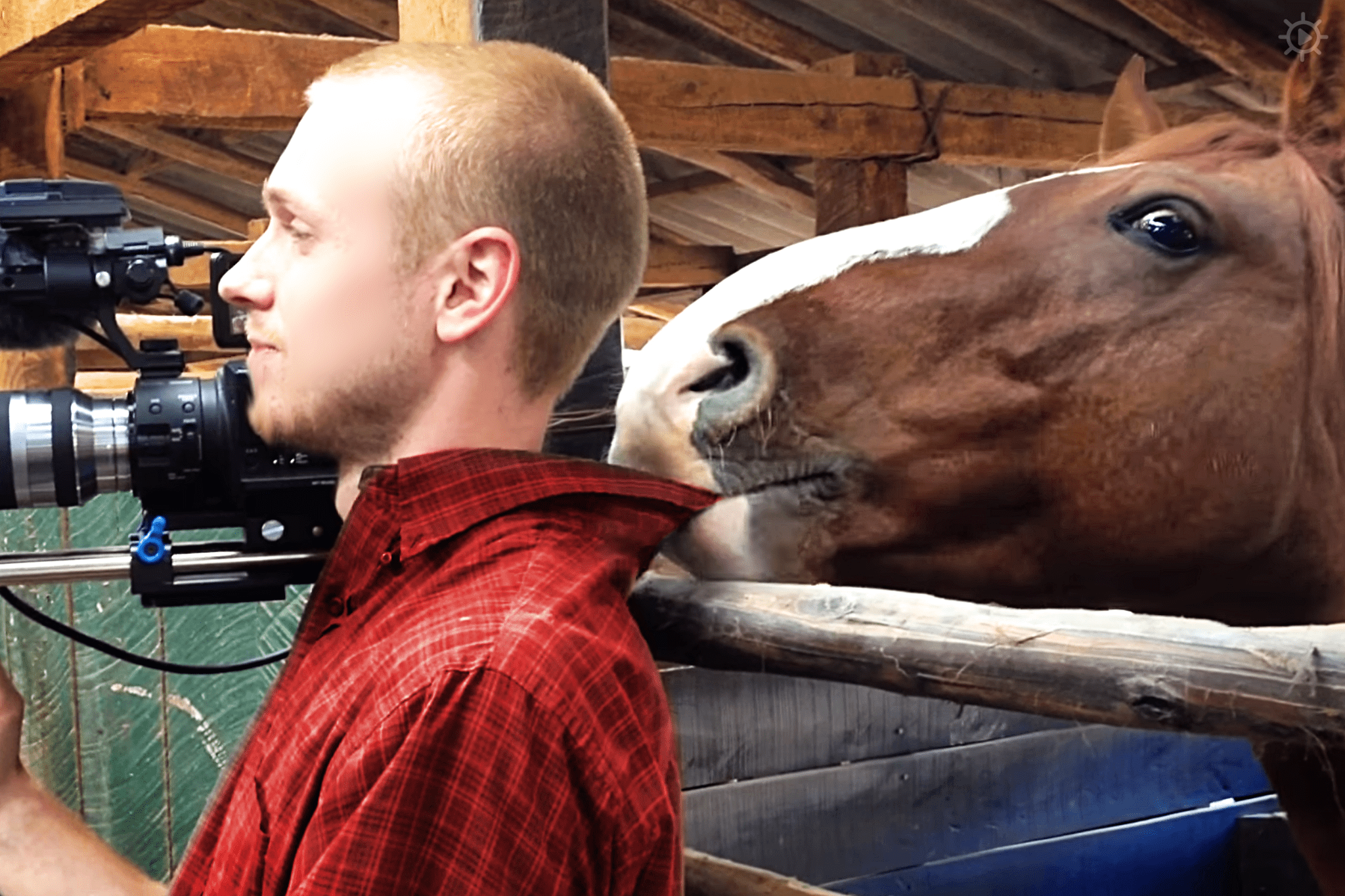 A thoroughbred horse with a white blaze stands in an indoor stable, while a young adult male photographer captures it using a professional video camera.