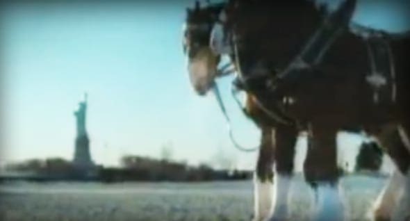 A horse with a dark coat and white leg markings stands in an open area near water and trees, partially revealing the Statue of Liberty at dusk.