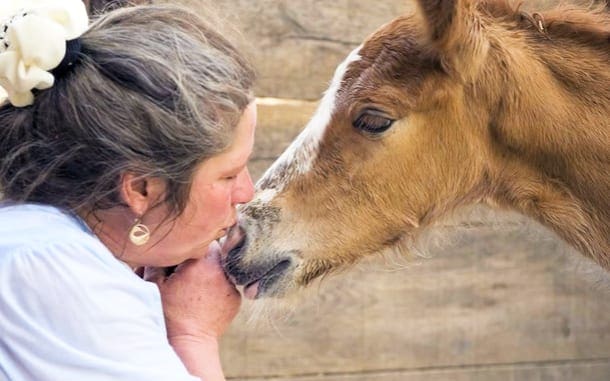 A middle-aged female wearing a loose white T-shirt and hair accessory interacts with a juvenile brown horse in a farm setting, suggesting spring or summer lighting.