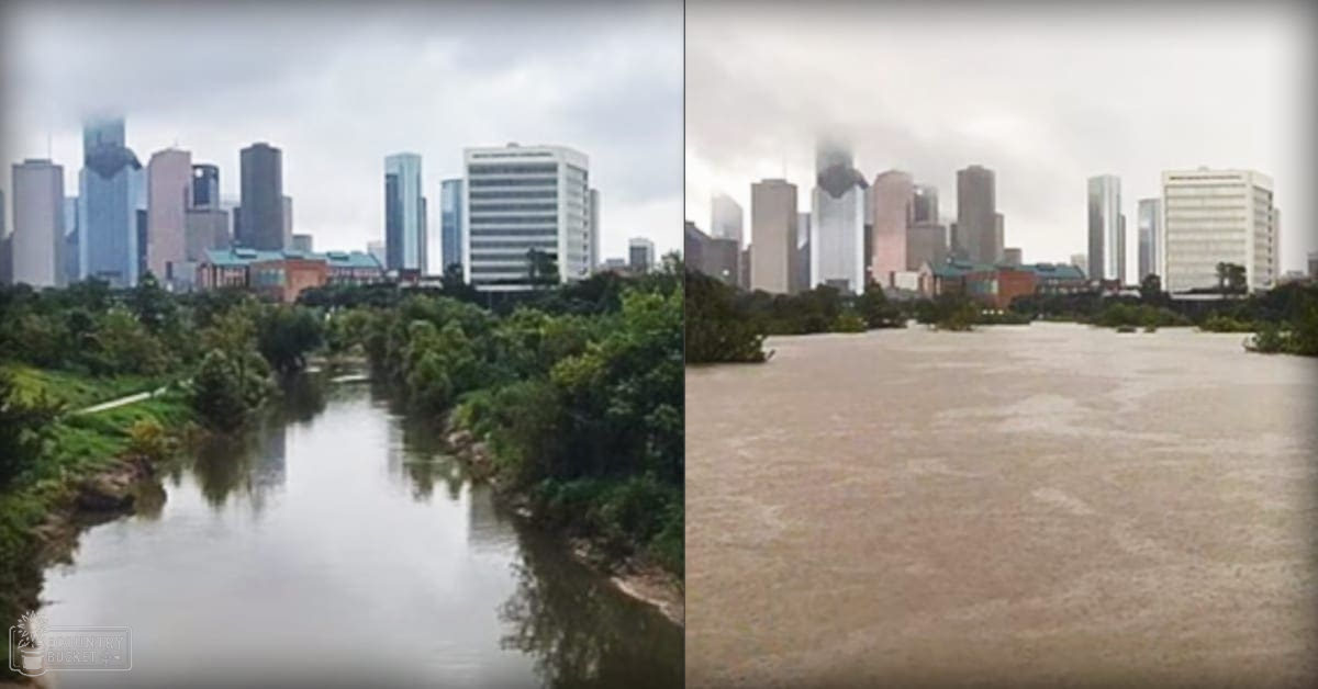 An overcast day along a riverbank with urban buildings and trees, muted greens and grays dominate the scene.