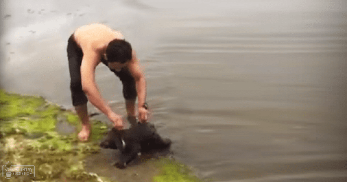 A young adult male holds a small black cat near his hands at a shoreline with ripples and green algae on the shore.