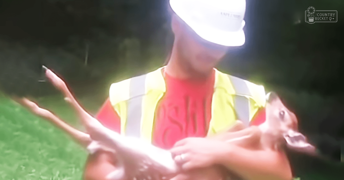 A young adult male wearing a red 'OSH' T-shirt, yellow safety vest, and white cap interacts with a juvenile deer in an outdoor park setting under clear daylight.