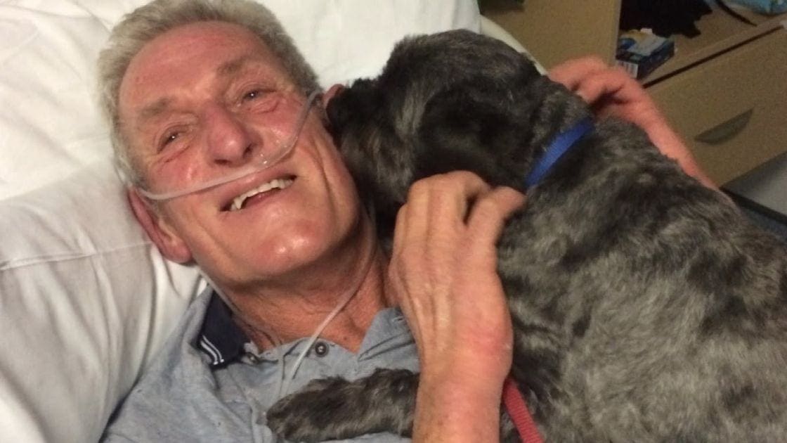 An older adult male in a light blue button-up shirt with dark collar, sitting on a hospital bed amidst medical equipment. A gray and black canine dog rests beside him, adding warmth to the scene.