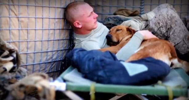 A young adult male rests with a brown Labrador Retriever mix dog in an outdoor setting, possibly at a military base, under natural daylight.