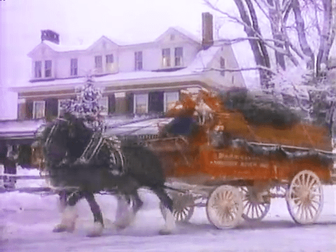 Two adult Clydesdales with dark coats stand beside an orange Budweiser carriage in a snowy residential scene, indicating winter.
