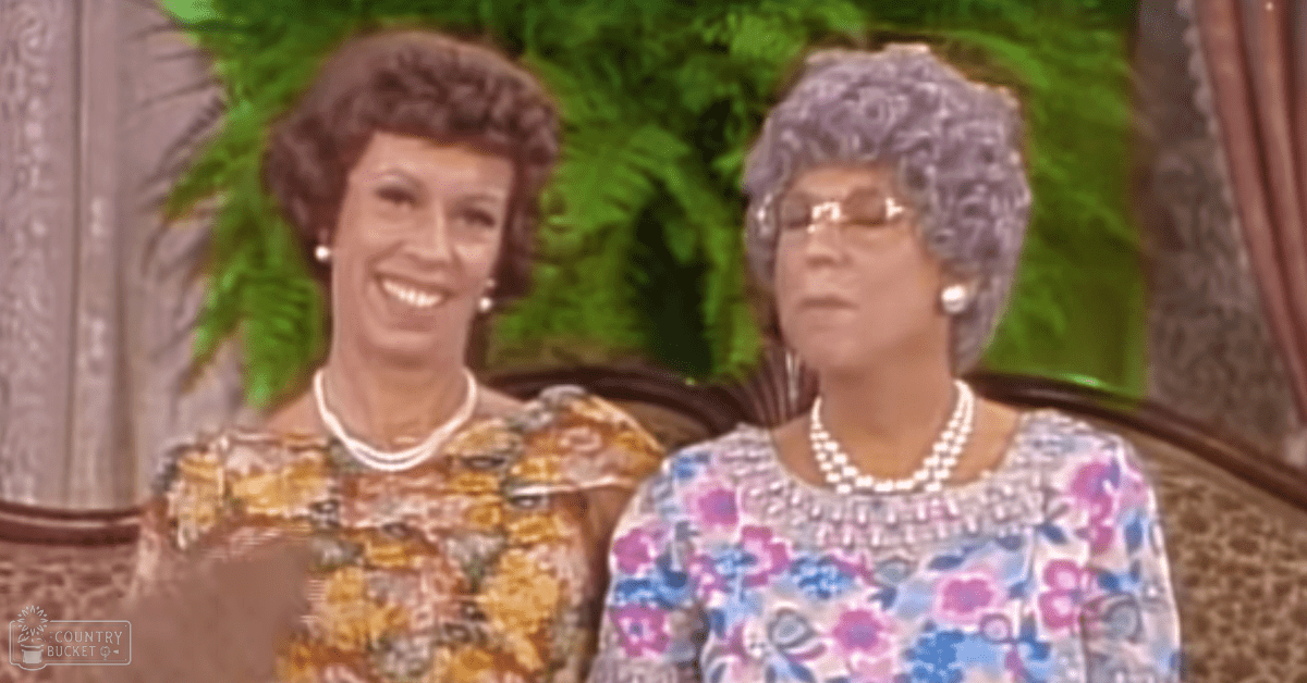 Two older adult female subjects wearing patterned floral dresses with pearl accessories, seated against a backdrop of greenery and studio furniture in an indoor setting.