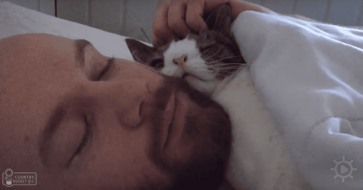 A young adult male wearing a white, loose-fitting shirt lies in bed with a tabby cat, suggesting an indoor setting possibly early morning or late afternoon.