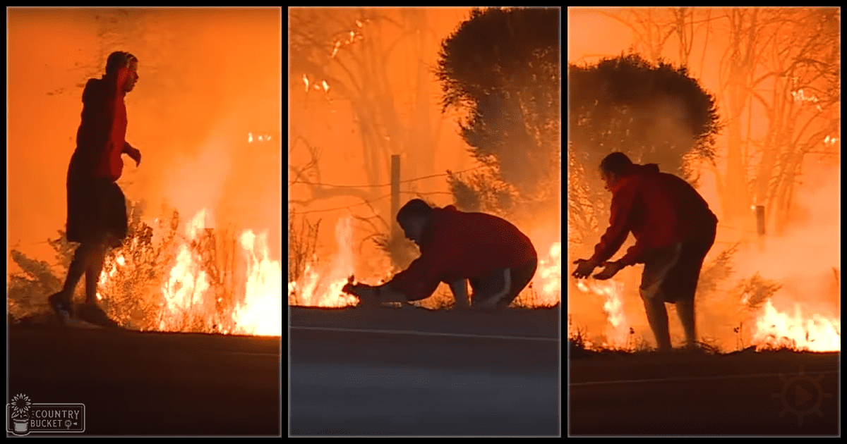 A young adult male and an adult male wearing casual attire, interacting with fire amidst a late fall or winter outdoor setting with bare trees and paved ground.