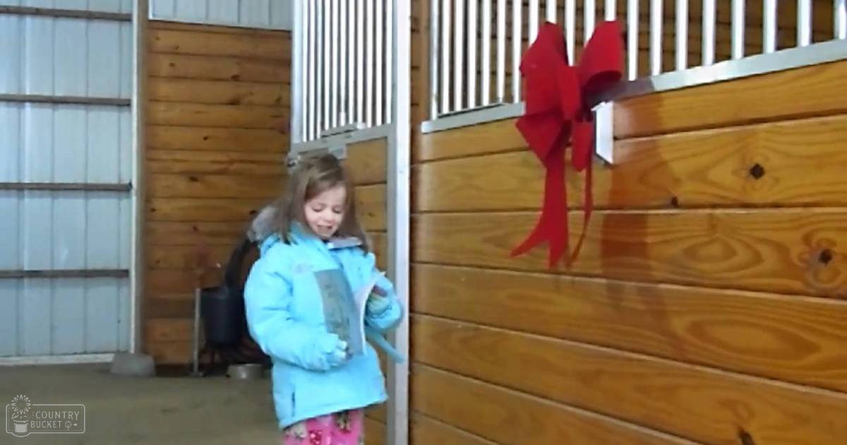 A toddler girl in a light blue puffer jacket with fur-lined hood and pockets inside a stable at a farm.