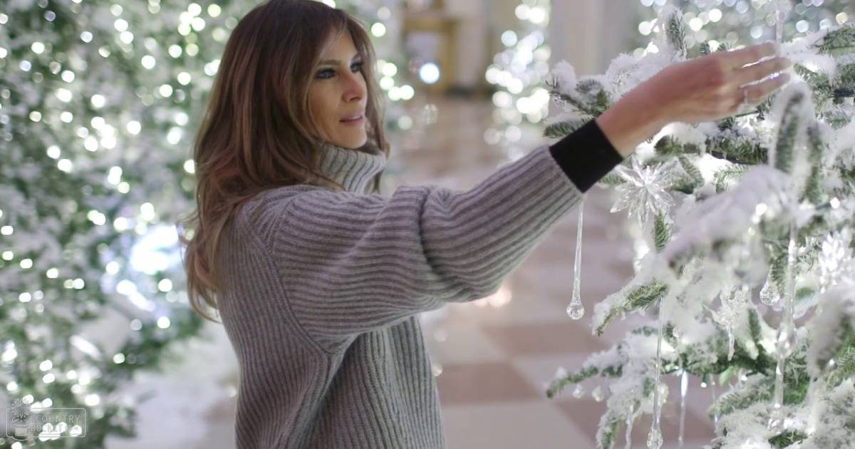 A middle-aged female in a festive indoor setting, decorated for Christmas with white lights and icicle ornaments on a tree.