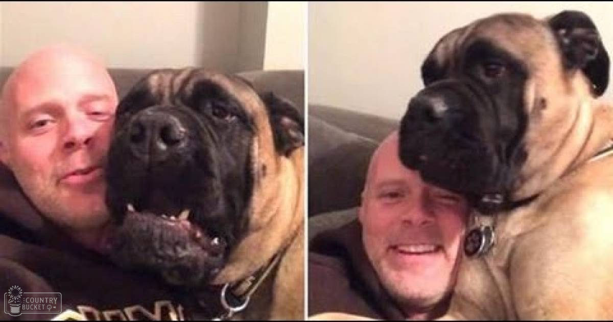 A middle-aged to older adult male wearing a dark-colored hoodie with 'GRAND' text, interacting with an adult tan and black Mastiff dog in a dimly lit indoor living room setting.
