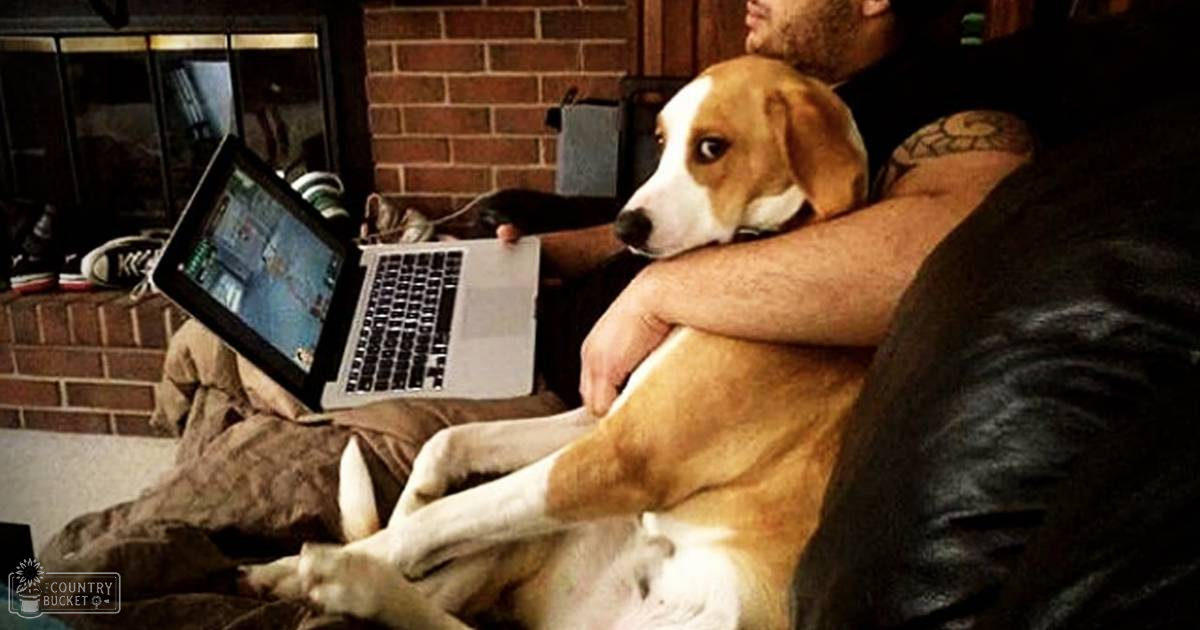 An adult male wearing a dark textured jacket indoors with his beagle dog, using a laptop in a cozy home environment.
