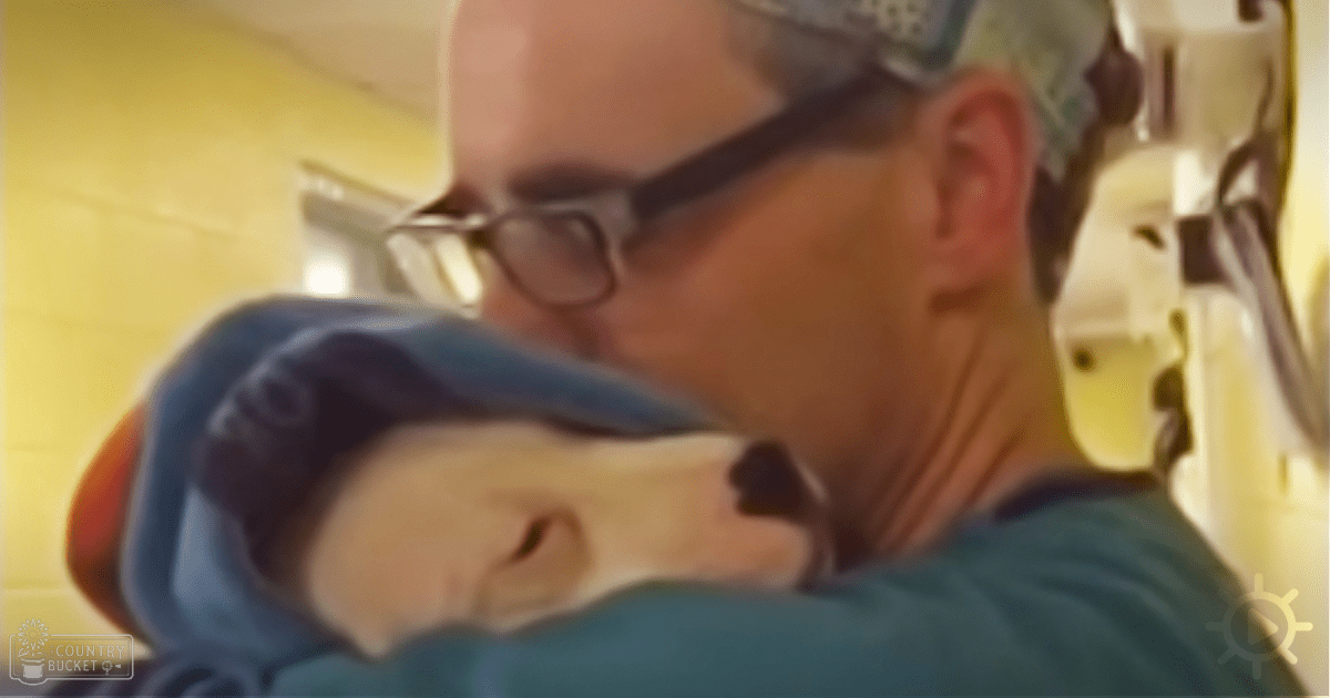 An adult male singer wearing glasses and a cap, holding an infant in a blue hospital gown with soft fabric, inside what appears to be a hospital room with yellow walls and medical equipment visible.