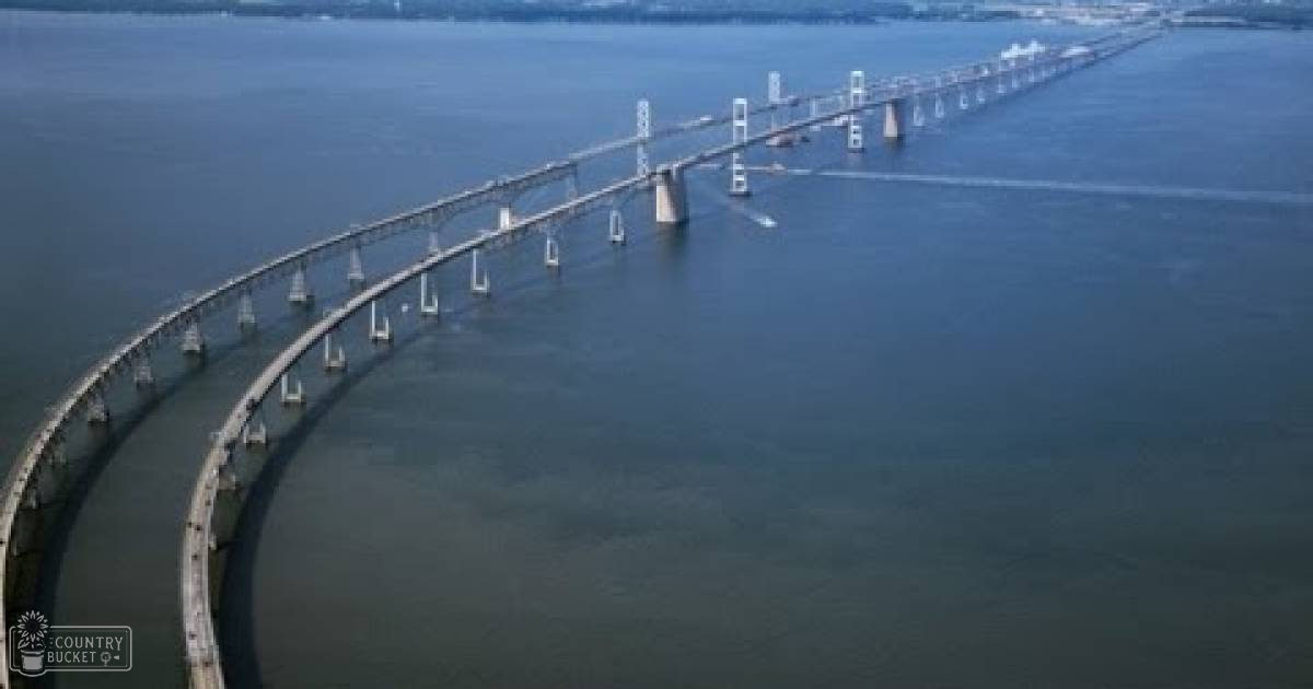 A long, multi-span bridge over calm blue waters in the San Francisco Bay Area under clear daylight skies.