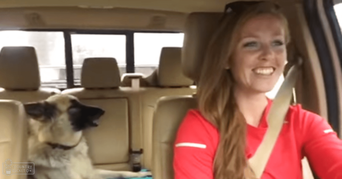 A young adult female wearing a red long-sleeved shirt with white trim inside a car, accompanied by a tan Pug dog with black markings on its face and ears.