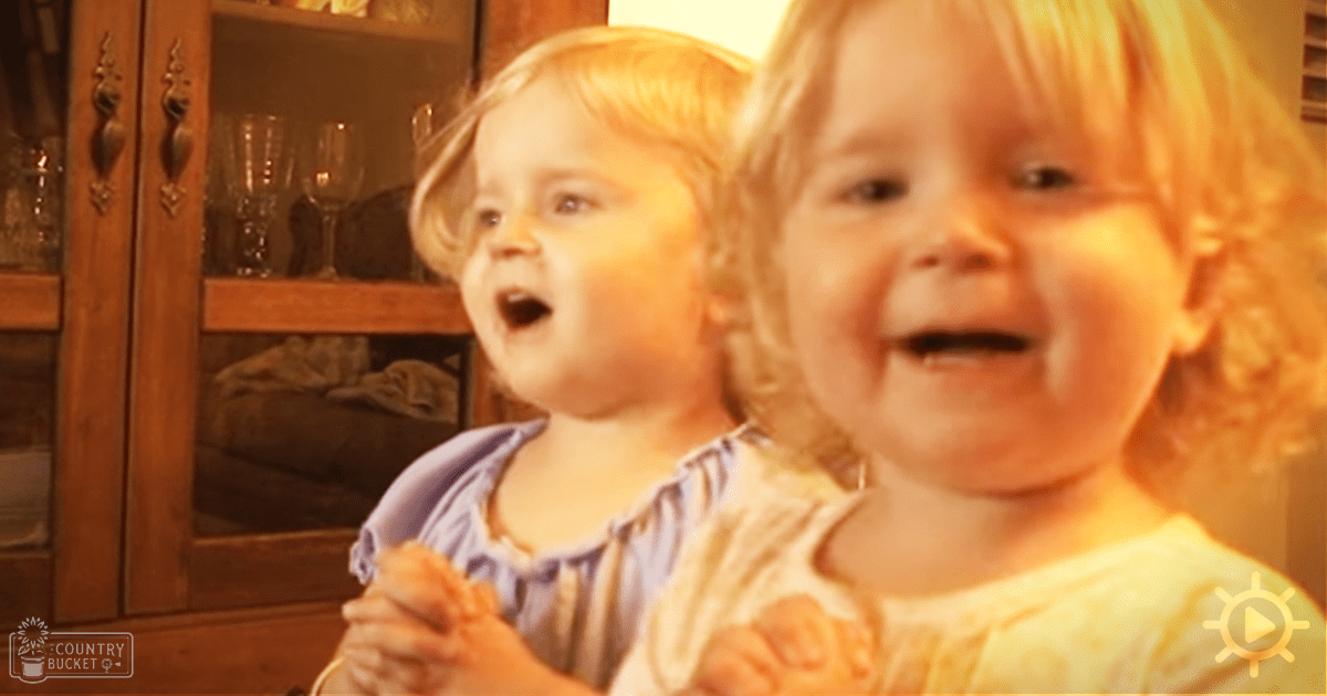 Two toddlers in a home setting with ornate furniture. The left child wears a light blue dress, while the right child is in a light yellow dress.