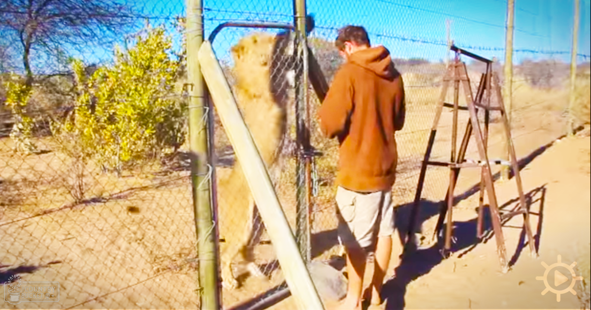 Young adult male interacting with a large light-brown dog in a rural late summer or early fall setting, surrounded by dry grassland and sparse trees.