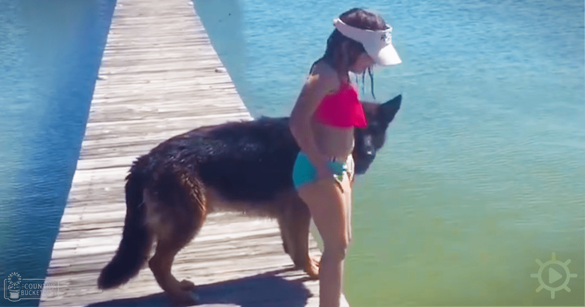 A German Shepherd dog with an adult female on a wooden dock by calm water under bright sunlight.