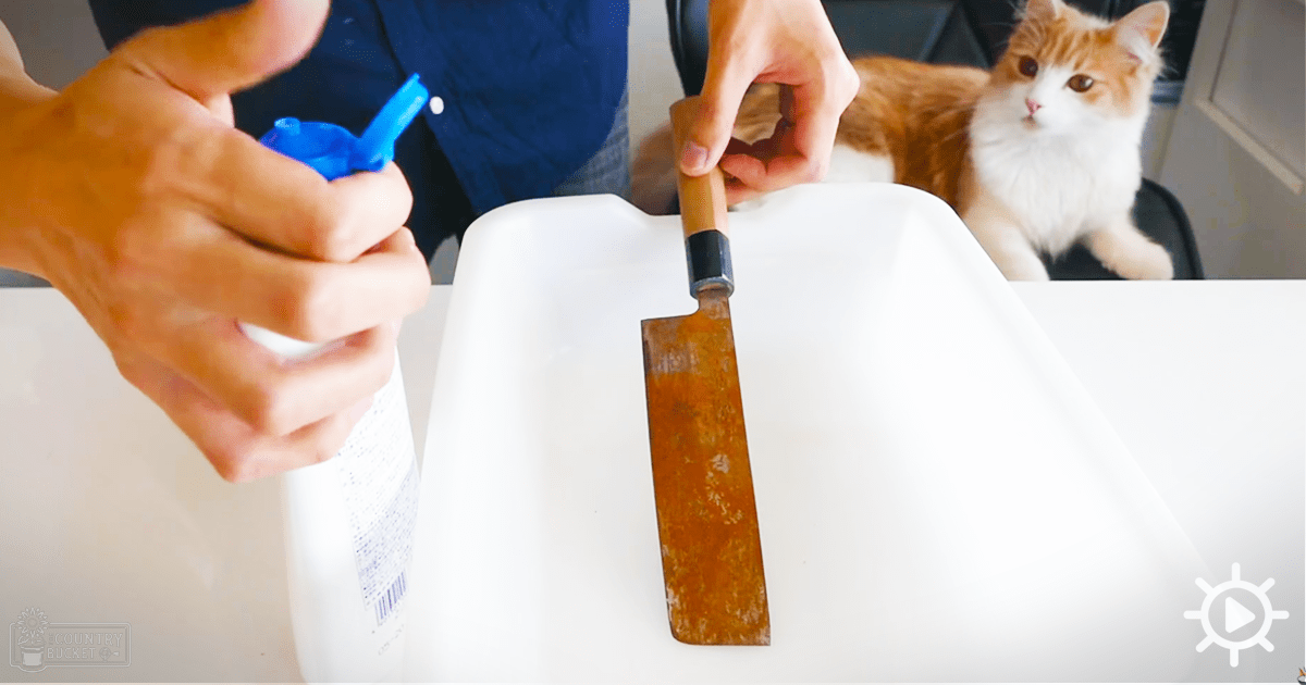 An adult male in a dark blue short-sleeved shirt performs cleaning tasks, with an orange and white tabby cat nearby; rusty knife and blue plastic bottle are central elements of the activity. The scene is set indoors, likely in a kitchen under natural daylight.