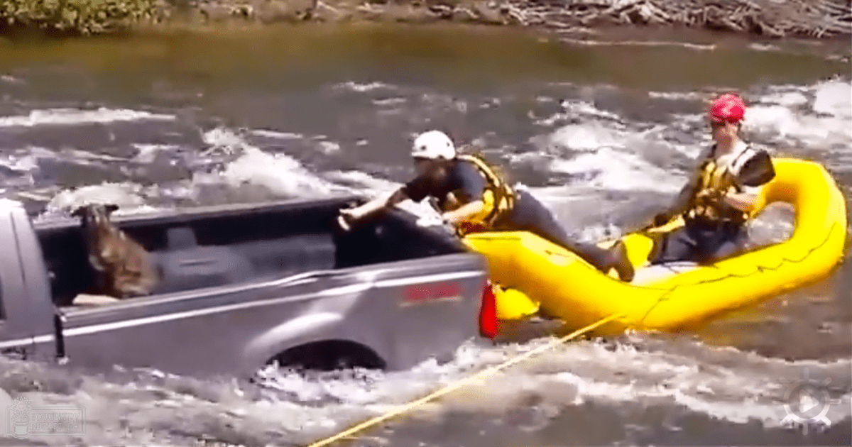 A rescue operation involving a silver pickup truck partially submerged in floodwaters near a riverbank, with individuals wearing life jackets assisting the vehicle using an inflatable raft and rope.