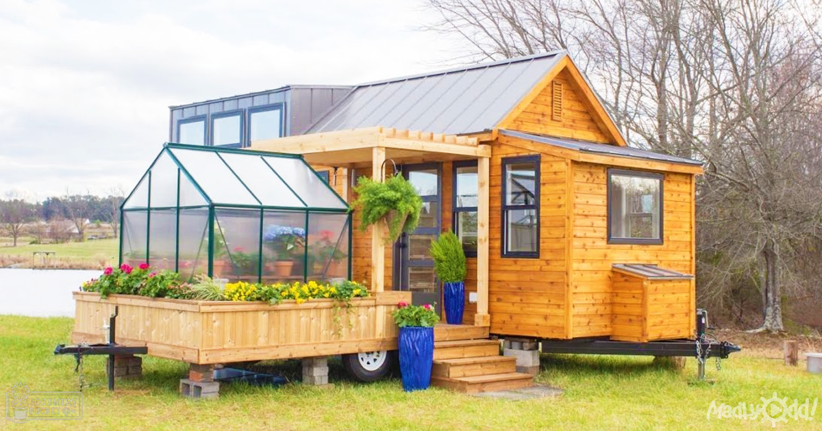 A rural scene with a tiny house with an attached greenhouse, potted plants, and wooden steps in late fall or early spring.