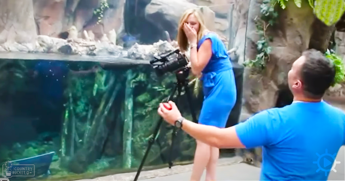 A couple observing fish in an indoor aquarium setting with blue and green tones, suggesting daytime lighting.