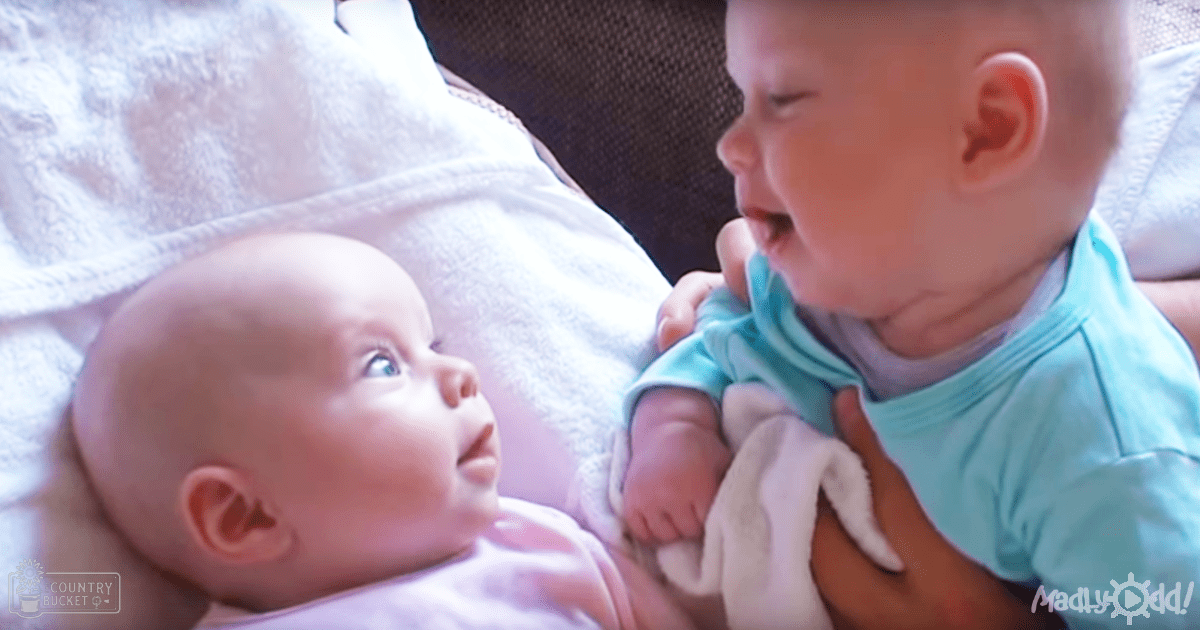 Two infants wearing light pink and blue outfits seated indoors with natural daylight illuminating the scene.