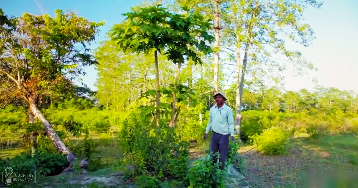 A middle-aged adult male in a light blue long-sleeve button-down shirt set against a lush, forested rural backdrop with late afternoon sunlight filtering through the trees.