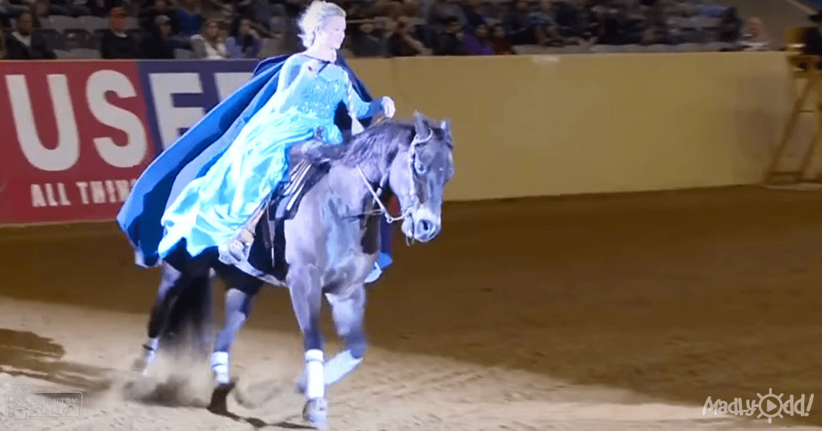 A horseback rider in an indoor arena, dressed in a long blue dress with white boots, performing under artificial lighting during what appears to be a professional equestrian event.