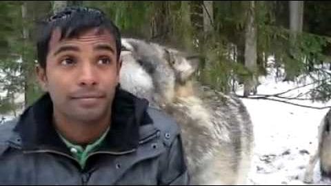 An adult male in a dark jacket stands amidst a snowy forest with evergreen trees and a gray wolf nearby.