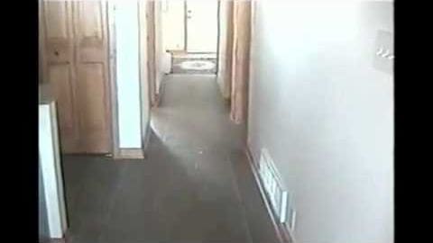 A hallway with carpeted flooring and white walls, a partially open door leading to another room with visible toilet and shower curtain, institutional building like hospital setting.