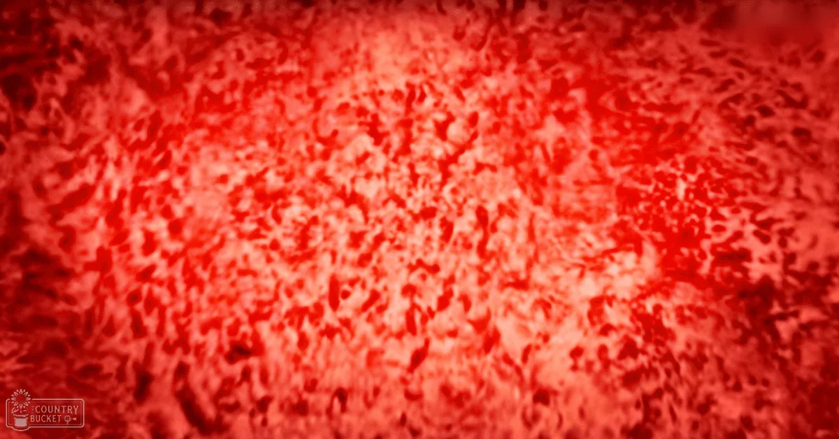 A crowded indoor event or gathering at night with a dominant red background.
