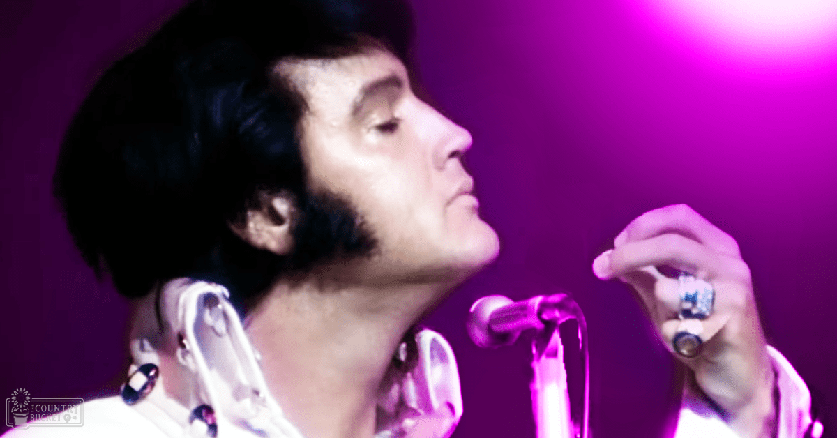 An adult male performer in a white, patterned 1970s or early 80s shirt with large earrings, performing under purple stage lighting at an indoor concert venue.
