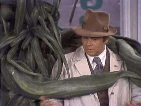 An adult male in a white lab coat and brown vest, holding a large green snake with darker markings indoors under even bright lighting.