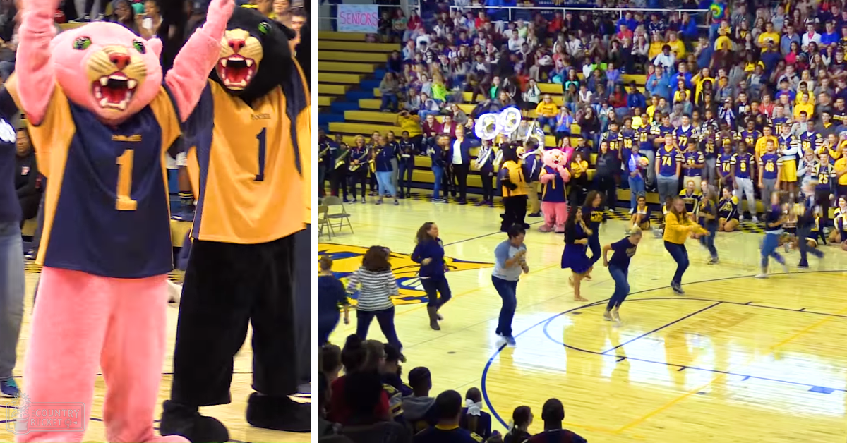Two panther mascots in a school gymnasium during what appears to be a pep rally or senior event, with bleachers and spectators seated on the side.