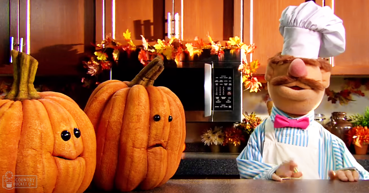 An adult male puppet chef in a kitchen setting with carved pumpkins and autumn-themed decorations.