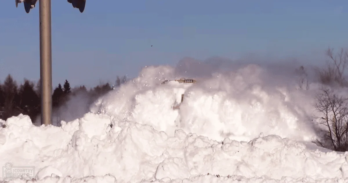 A snowplow clearing a large mound of fresh, fluffy snow in a winter outdoor setting with bare trees and clear blue sky during the daytime.