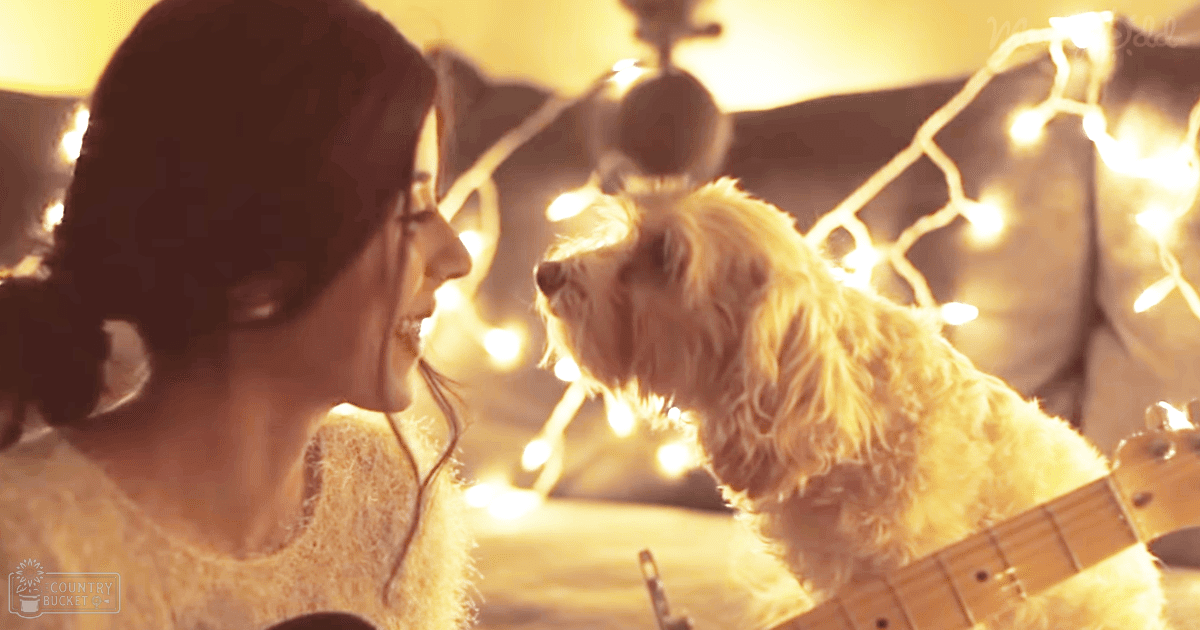 A young adult female wearing a light, textured sweater indoors with a string of fairy lights in the background and an adult terrier-like dog interacting closely with her.