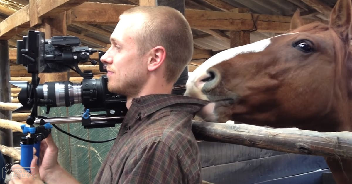 A thoroughbred horse with a brown coat and white blaze is filmed by an adult male in a stable setting, with natural light filtering through panels.