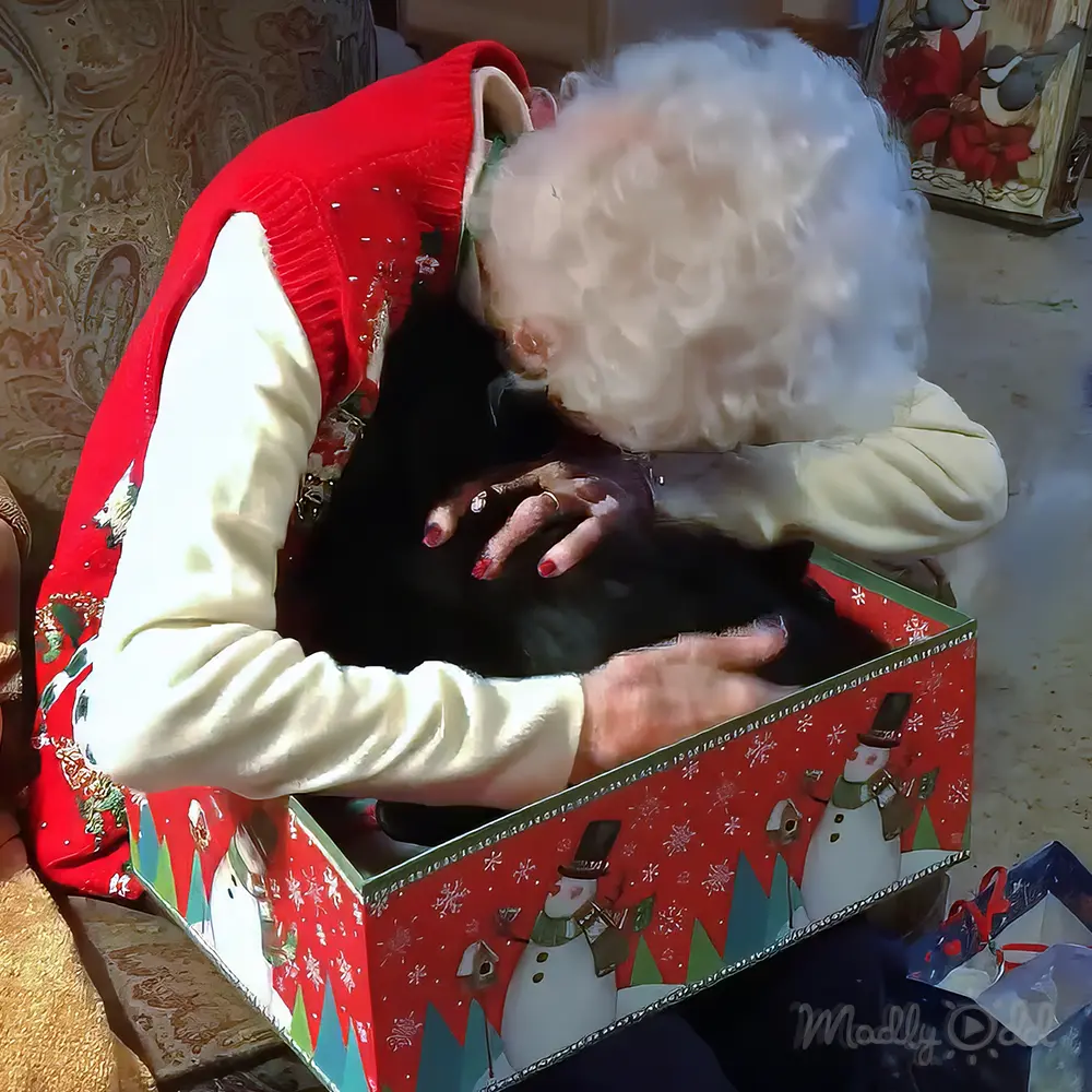 An adult female wearing a red sweater vest with holiday-themed decorations stands indoors in a Christmas setting. A black cat is nestled inside an open red gift box surrounded by other wrapped presents.