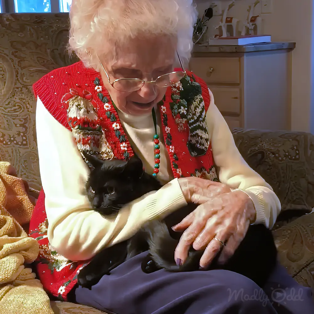 An older adult female wearing a red floral and beaded vest over a cream-colored long-sleeve top, with glasses, indoors near a black cat and patterned couch, natural light streaming in from the left.