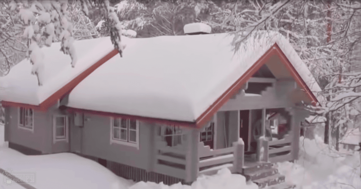 A small house with snow-covered roofs in a residential area, surrounded by trees and a wooden fence under overcast winter light.