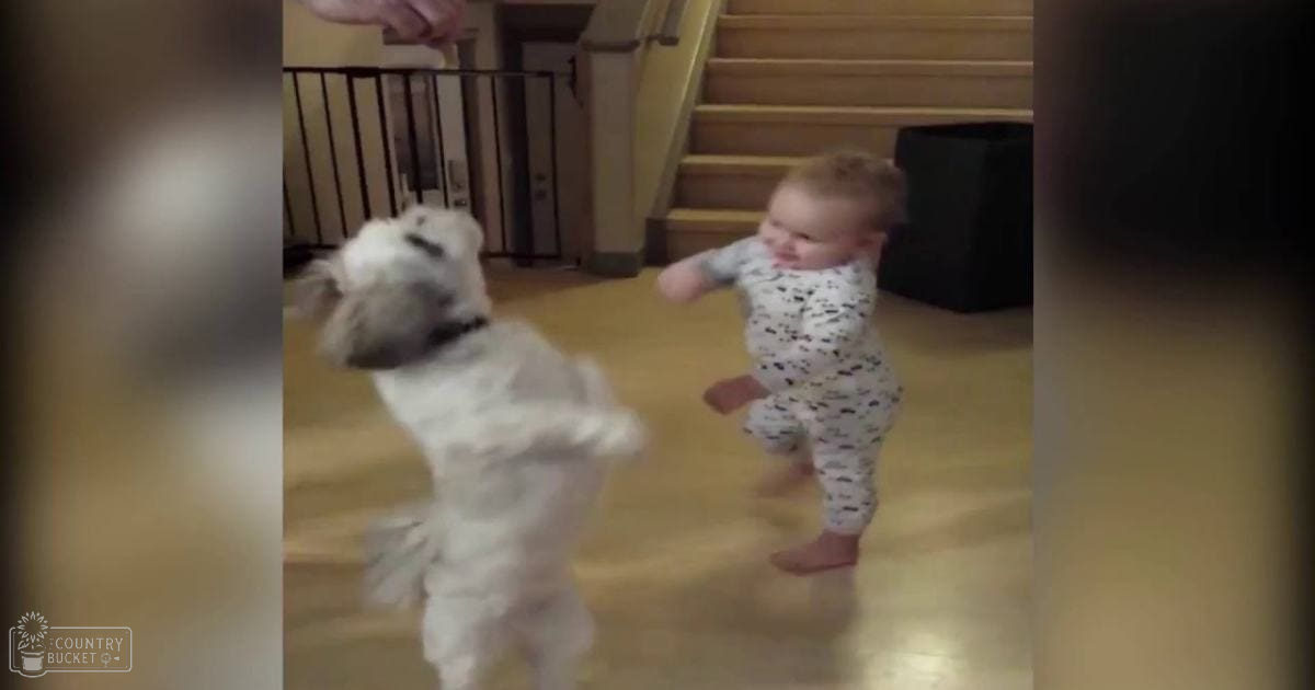 A baby in a white onesie with dark patterns, interacting with a Shih Tzu or similar breed puppy indoors on hardwood floors near a wooden staircase.