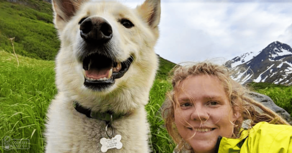 A dog with tan markings on a lush green grassy field near snowy mountains under a partly cloudy sky, with an adult female wearing a bright yellow textured jacket.
