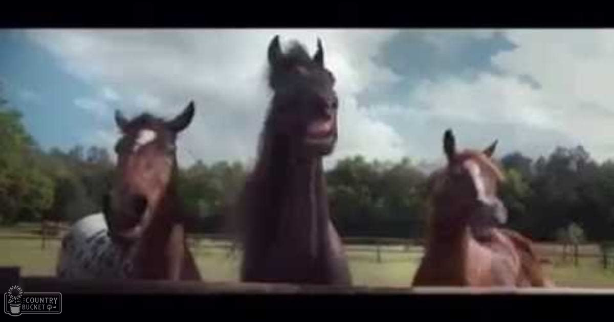 Three horses in an open field with a partly cloudy sky during what appears to be spring or summer.