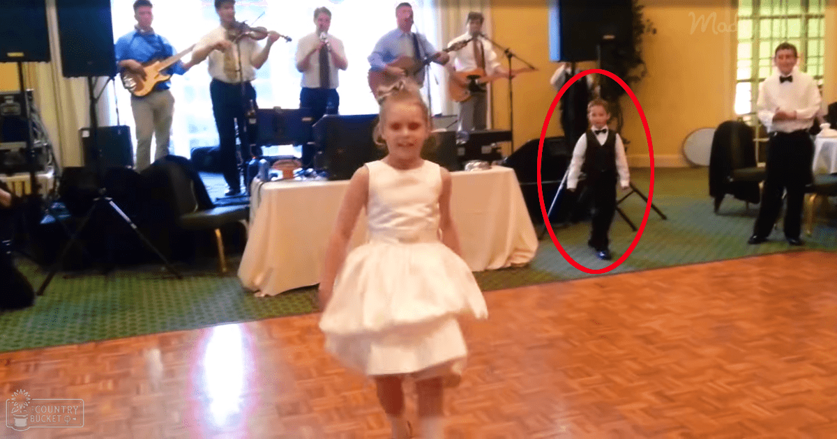 A young girl in a white dress at an indoor wedding reception with wooden floors, warm walls, and natural light from a window.